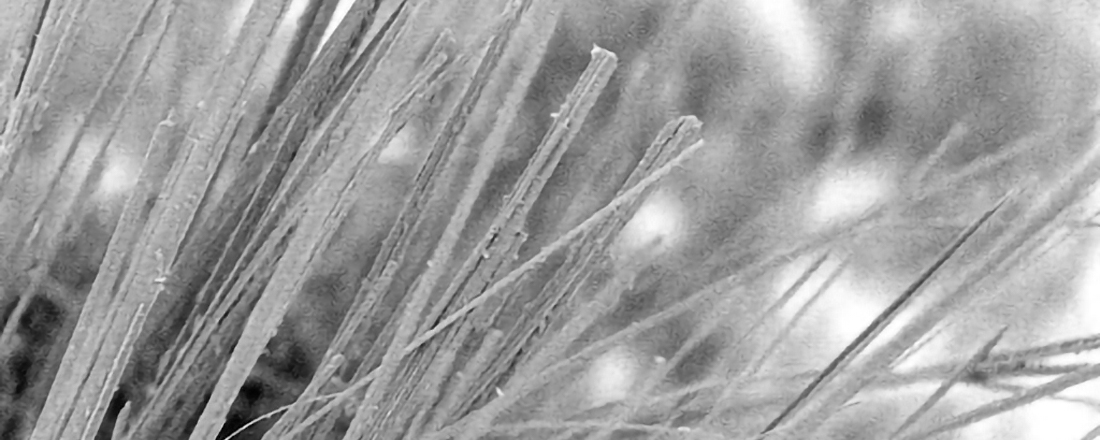 operando electron microscopy experiments